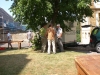 1050_CIMG0056.JPG